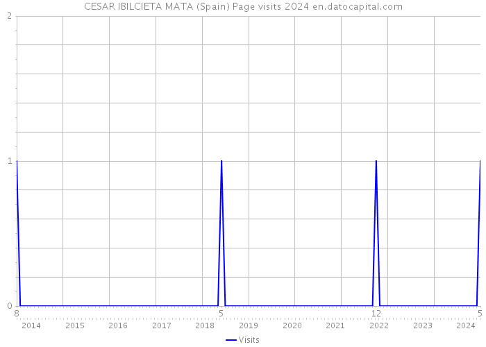 CESAR IBILCIETA MATA (Spain) Page visits 2024 