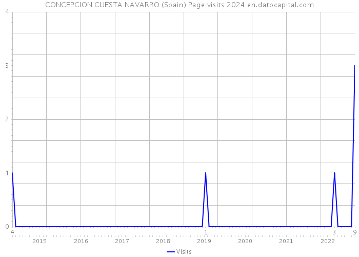 CONCEPCION CUESTA NAVARRO (Spain) Page visits 2024 