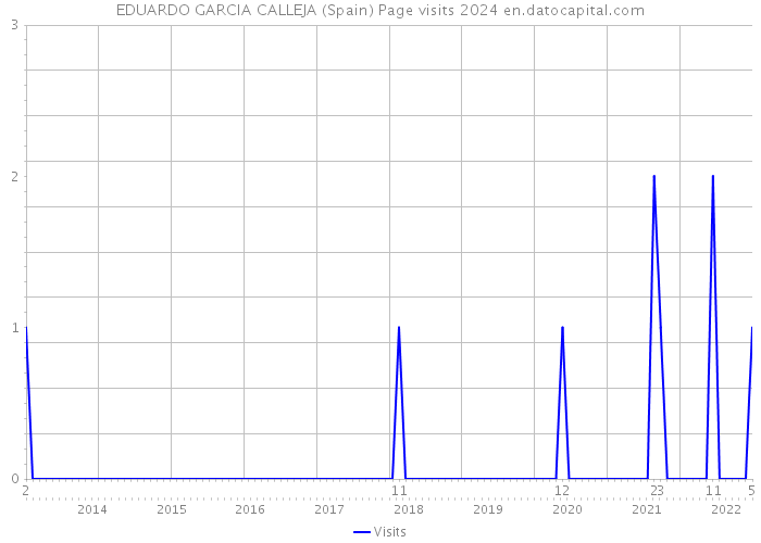 EDUARDO GARCIA CALLEJA (Spain) Page visits 2024 