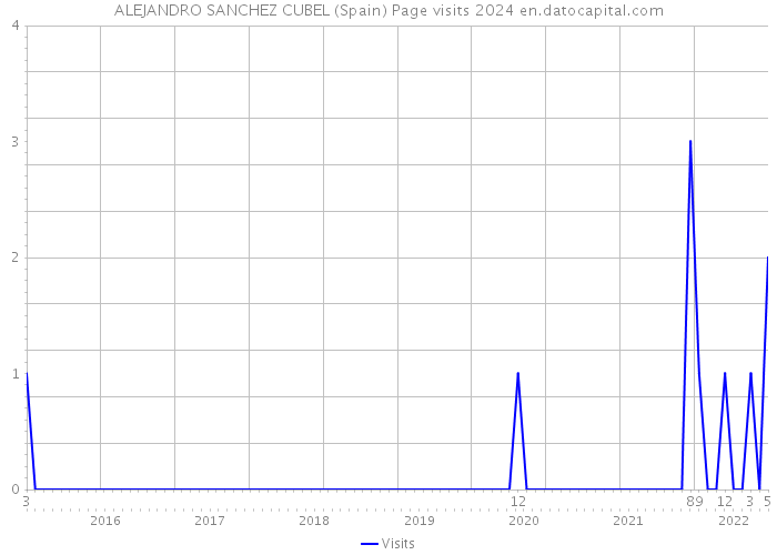 ALEJANDRO SANCHEZ CUBEL (Spain) Page visits 2024 