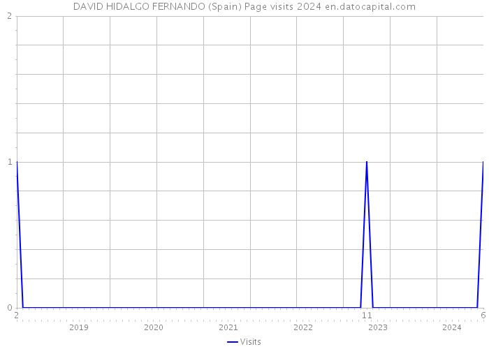 DAVID HIDALGO FERNANDO (Spain) Page visits 2024 