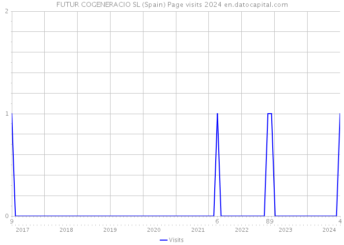 FUTUR COGENERACIO SL (Spain) Page visits 2024 