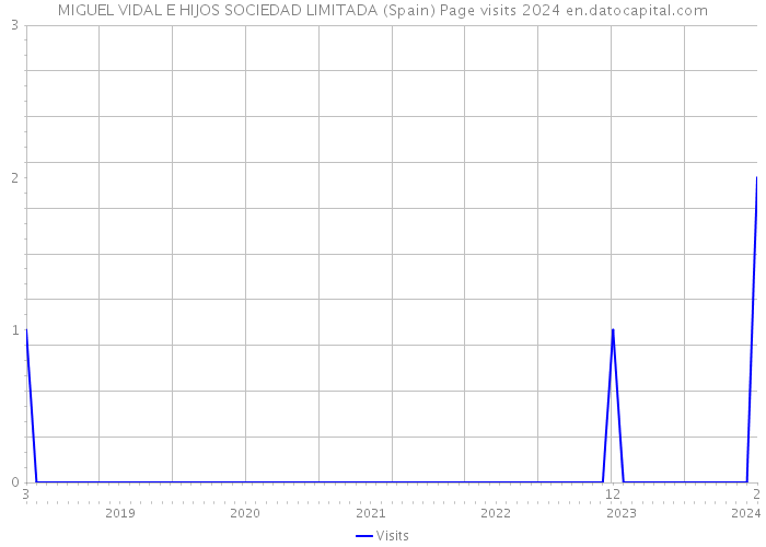 MIGUEL VIDAL E HIJOS SOCIEDAD LIMITADA (Spain) Page visits 2024 