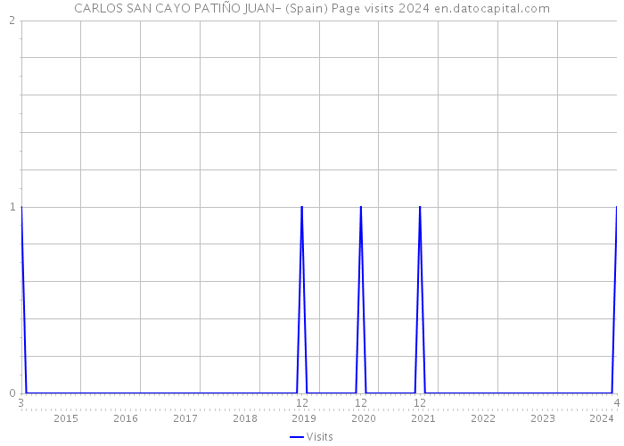 CARLOS SAN CAYO PATIÑO JUAN- (Spain) Page visits 2024 