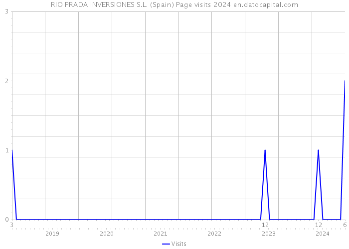 RIO PRADA INVERSIONES S.L. (Spain) Page visits 2024 