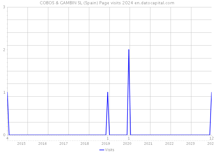 COBOS & GAMBIN SL (Spain) Page visits 2024 