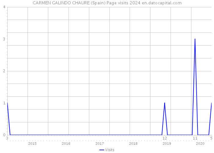CARMEN GALINDO CHAURE (Spain) Page visits 2024 