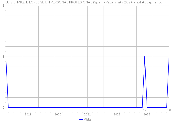 LUIS ENRIQUE LOPEZ SL UNIPERSONAL PROFESIONAL (Spain) Page visits 2024 