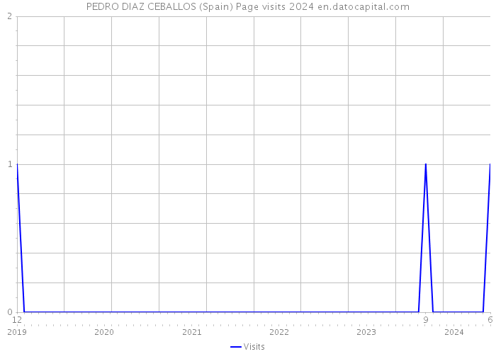 PEDRO DIAZ CEBALLOS (Spain) Page visits 2024 