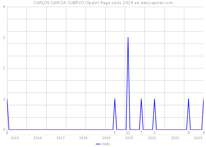 CARLOS GARCIA CUERVO (Spain) Page visits 2024 