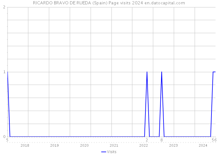 RICARDO BRAVO DE RUEDA (Spain) Page visits 2024 