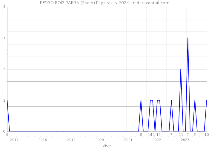 PEDRO ROIZ PARRA (Spain) Page visits 2024 