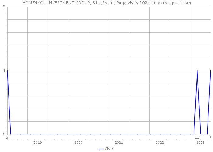HOME4YOU INVESTMENT GROUP, S.L. (Spain) Page visits 2024 