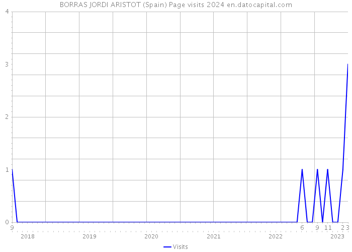 BORRAS JORDI ARISTOT (Spain) Page visits 2024 