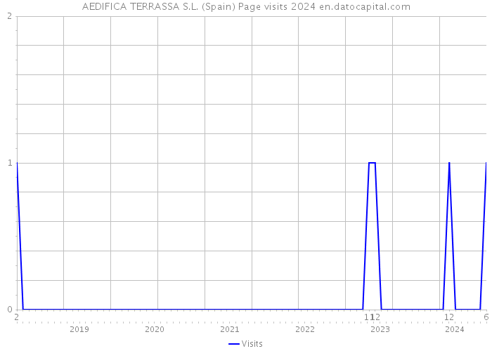 AEDIFICA TERRASSA S.L. (Spain) Page visits 2024 