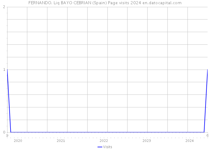FERNANDO. Liq BAYO CEBRIAN (Spain) Page visits 2024 