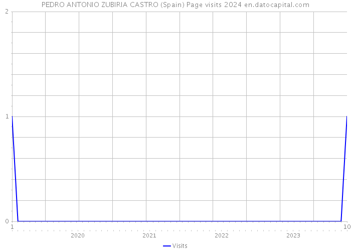 PEDRO ANTONIO ZUBIRIA CASTRO (Spain) Page visits 2024 