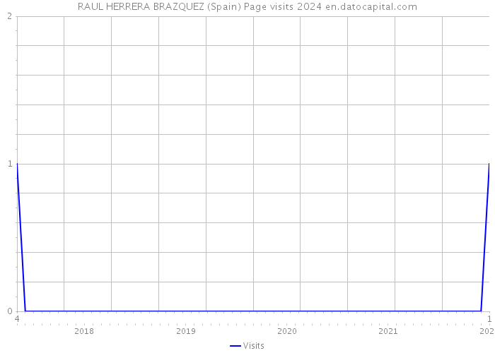 RAUL HERRERA BRAZQUEZ (Spain) Page visits 2024 