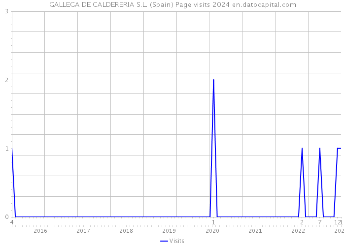 GALLEGA DE CALDERERIA S.L. (Spain) Page visits 2024 