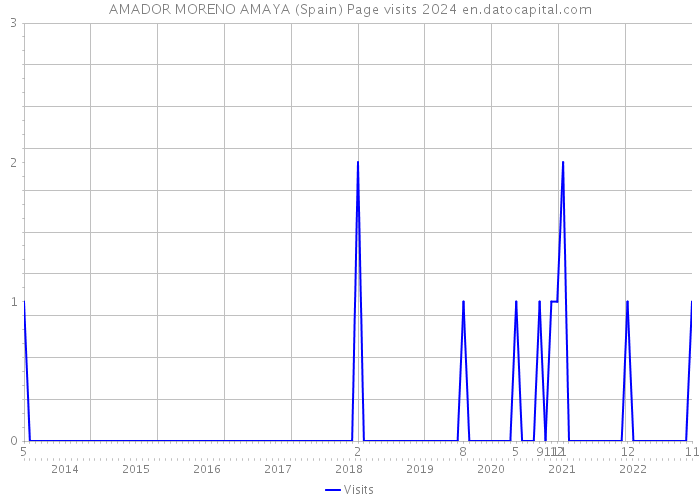 AMADOR MORENO AMAYA (Spain) Page visits 2024 