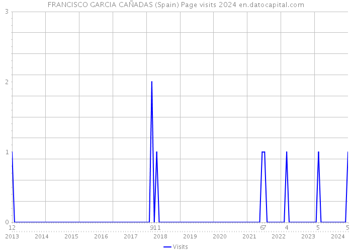 FRANCISCO GARCIA CAÑADAS (Spain) Page visits 2024 