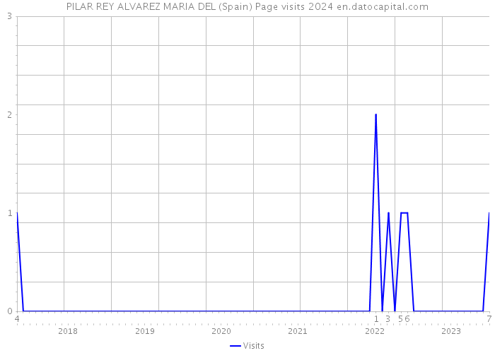 PILAR REY ALVAREZ MARIA DEL (Spain) Page visits 2024 