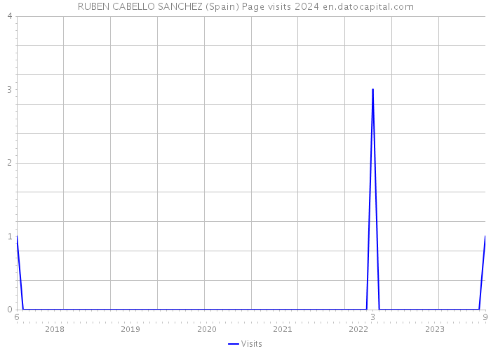 RUBEN CABELLO SANCHEZ (Spain) Page visits 2024 