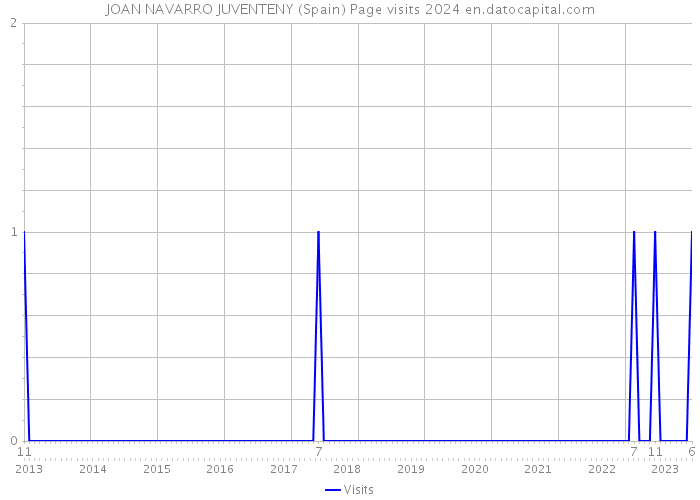 JOAN NAVARRO JUVENTENY (Spain) Page visits 2024 