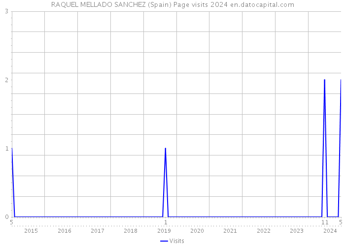 RAQUEL MELLADO SANCHEZ (Spain) Page visits 2024 