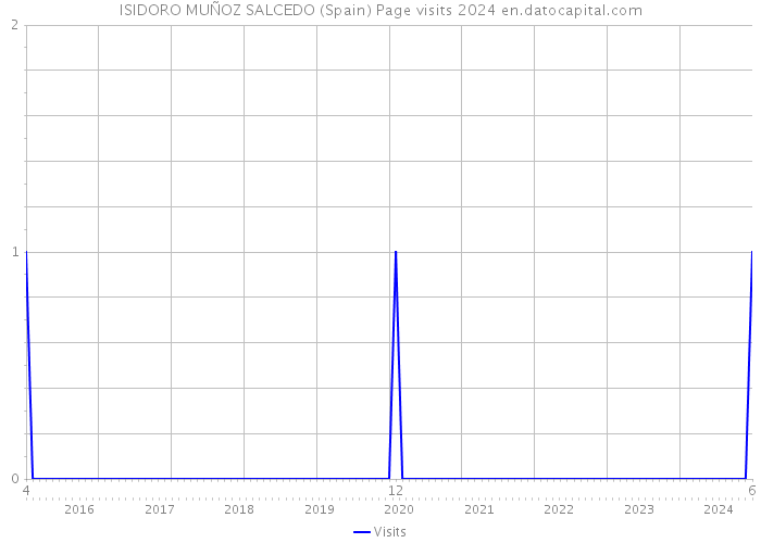 ISIDORO MUÑOZ SALCEDO (Spain) Page visits 2024 