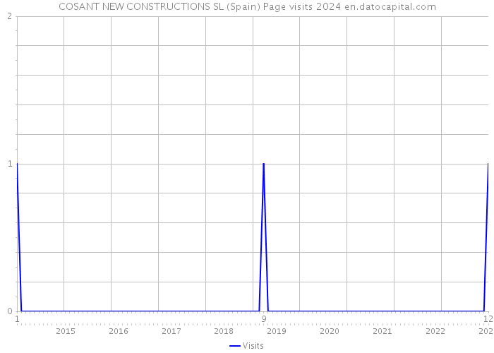 COSANT NEW CONSTRUCTIONS SL (Spain) Page visits 2024 
