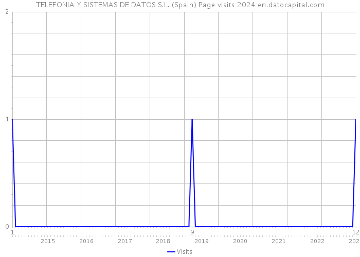 TELEFONIA Y SISTEMAS DE DATOS S.L. (Spain) Page visits 2024 