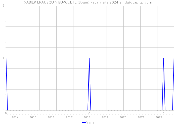 XABIER ERAUSQUIN BURGUETE (Spain) Page visits 2024 