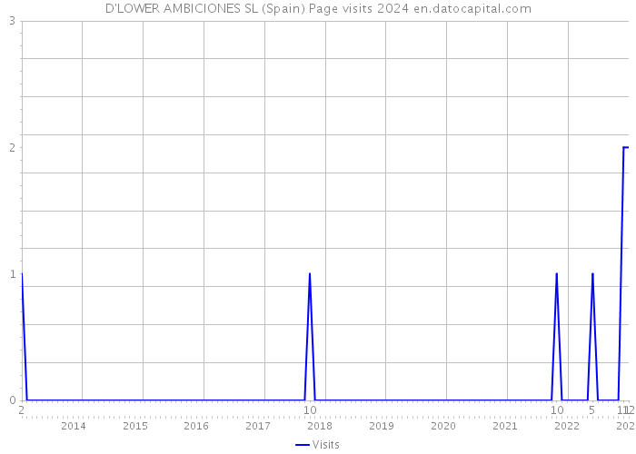 D'LOWER AMBICIONES SL (Spain) Page visits 2024 