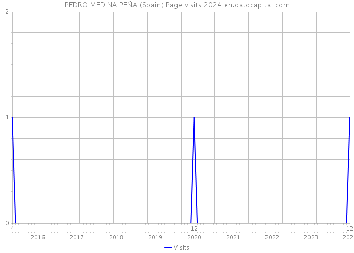 PEDRO MEDINA PEÑA (Spain) Page visits 2024 