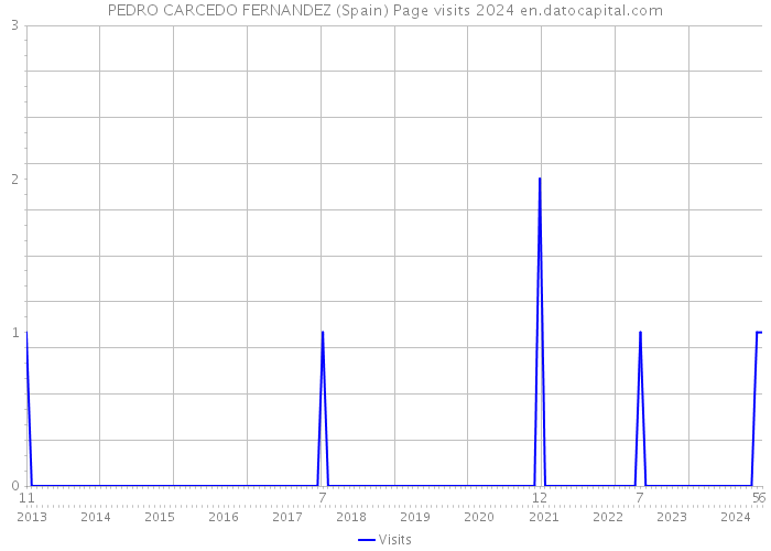 PEDRO CARCEDO FERNANDEZ (Spain) Page visits 2024 