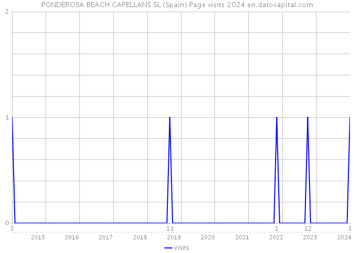 PONDEROSA BEACH CAPELLANS SL (Spain) Page visits 2024 