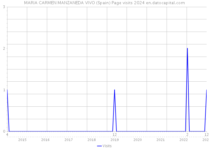 MARIA CARMEN MANZANEDA VIVO (Spain) Page visits 2024 