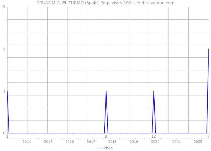 GRUAS MIGUEL TURMO (Spain) Page visits 2024 