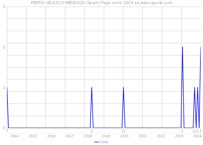 PEDRO VELASCO MENDOZA (Spain) Page visits 2024 