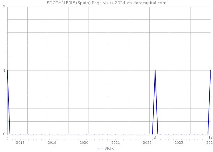 BOGDAN BRIE (Spain) Page visits 2024 