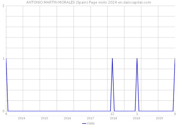ANTONIO MARTIN MORALES (Spain) Page visits 2024 