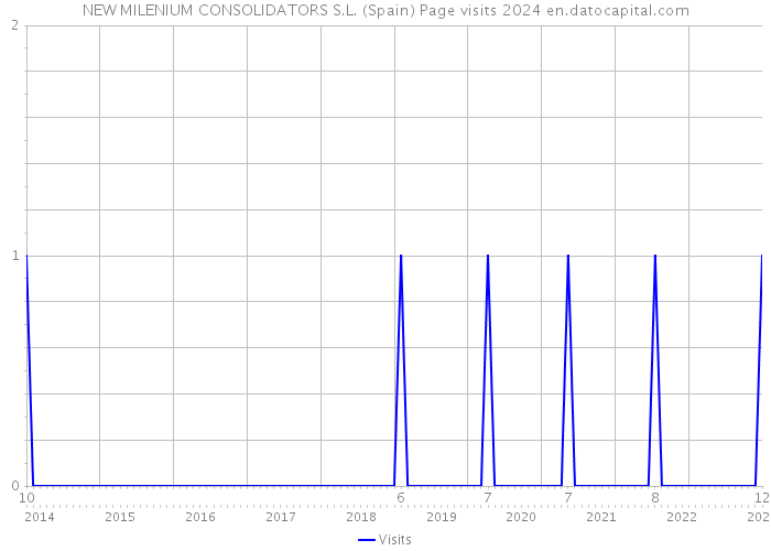 NEW MILENIUM CONSOLIDATORS S.L. (Spain) Page visits 2024 