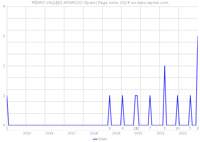 PEDRO VALLEJO APARICIO (Spain) Page visits 2024 