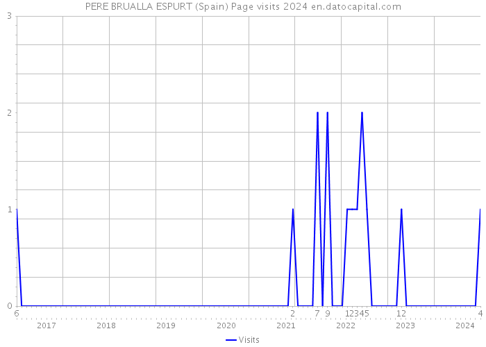 PERE BRUALLA ESPURT (Spain) Page visits 2024 