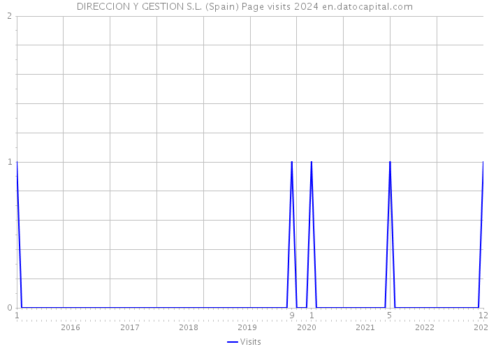 DIRECCION Y GESTION S.L. (Spain) Page visits 2024 