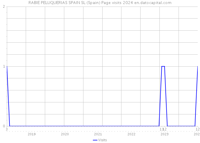 RABIE PELUQUERIAS SPAIN SL (Spain) Page visits 2024 