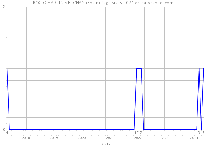 ROCIO MARTIN MERCHAN (Spain) Page visits 2024 