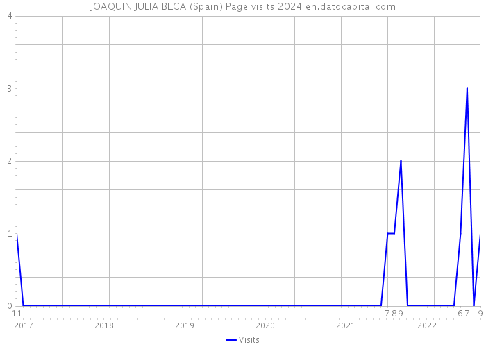 JOAQUIN JULIA BECA (Spain) Page visits 2024 