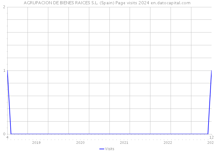 AGRUPACION DE BIENES RAICES S.L. (Spain) Page visits 2024 